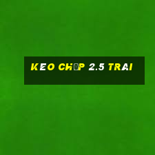 kèo chấp 2.5 trái