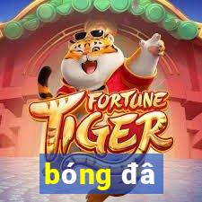 bóng đâ