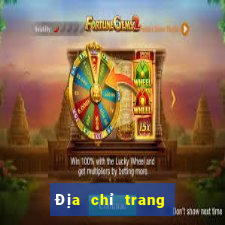 Địa chỉ trang web của Yi Cai