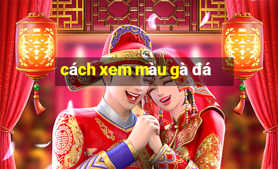 cách xem màu gà đá