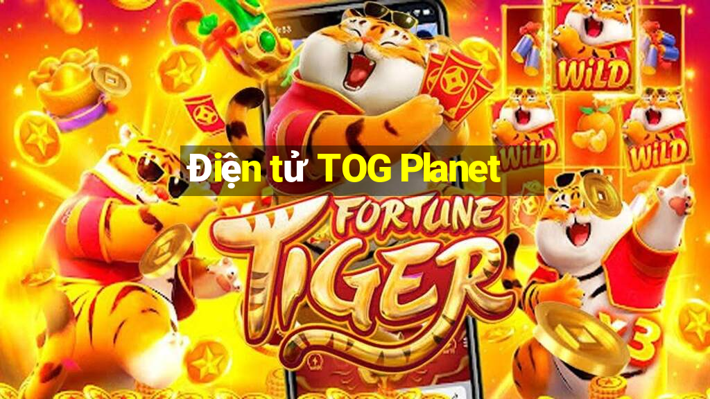 Điện tử TOG Planet