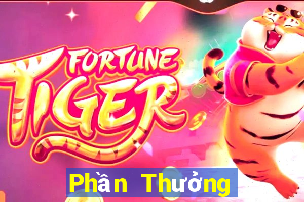 Phần Thưởng Điên Cuồng Bản Cao Cấp