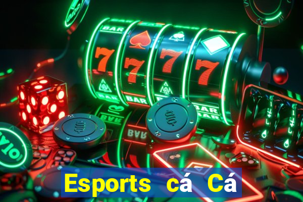 Esports cá Cá cược nước ngoài Fun88 đó là tốt nhất