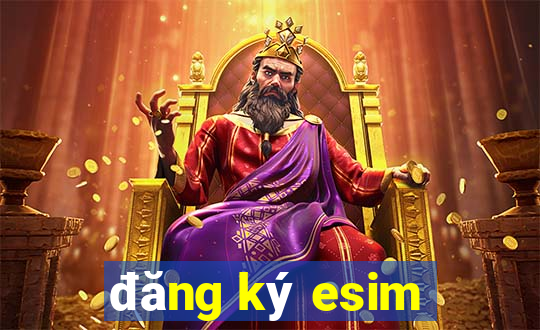 đăng ký esim