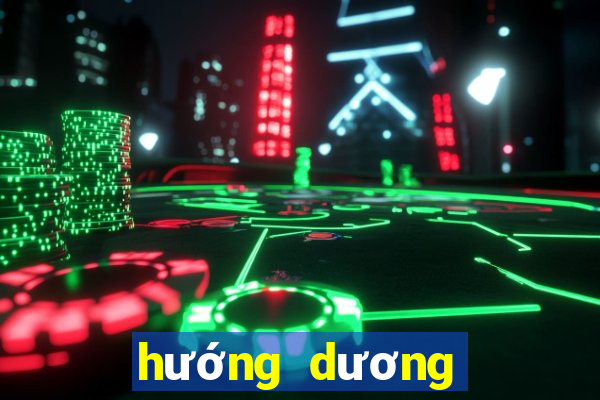 hướng dương ngược nắng