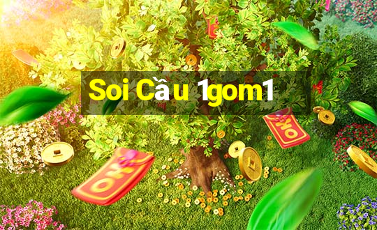 Soi Cầu 1gom1