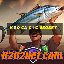 kèo cá cược sbobet