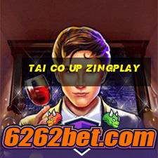 tai co up zingplay