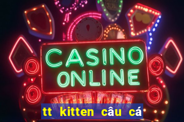 tt kitten câu cá pk hỗ trợ