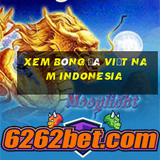 xem bóng đá việt nam indonesia