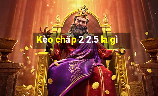 Kèo chấp 2 2.5 la gì