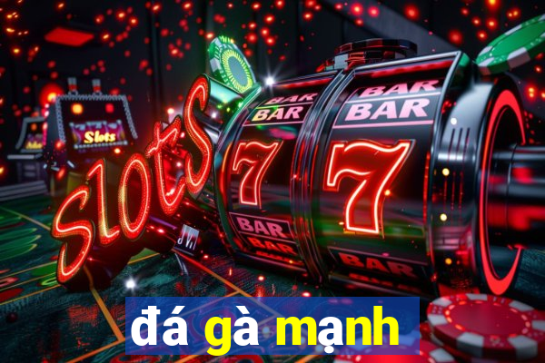 đá gà mạnh