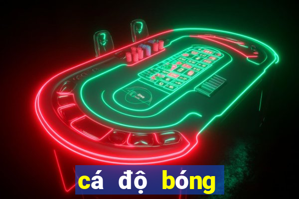 cá độ bóng đá app