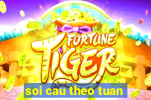 soi cau theo tuan