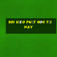 soi kèo phạt góc tối nay