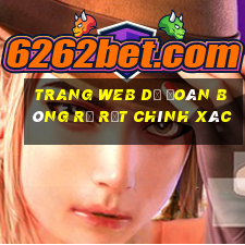 Trang web dự đoán bóng rổ rất chính xác