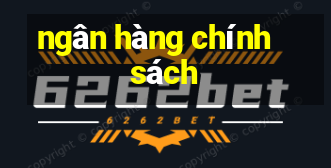 ngân hàng chính sách