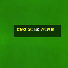 cho số đà nẵng