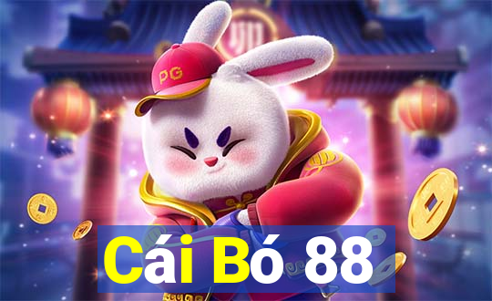 Cái Bó 88