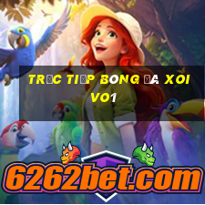 trực tiếp bóng đá xoivo1