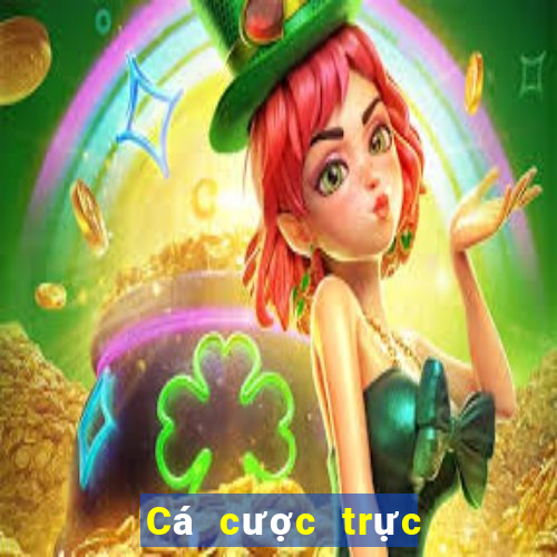 Cá cược trực tuyến Zet68