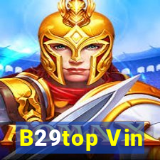 B29top Vin