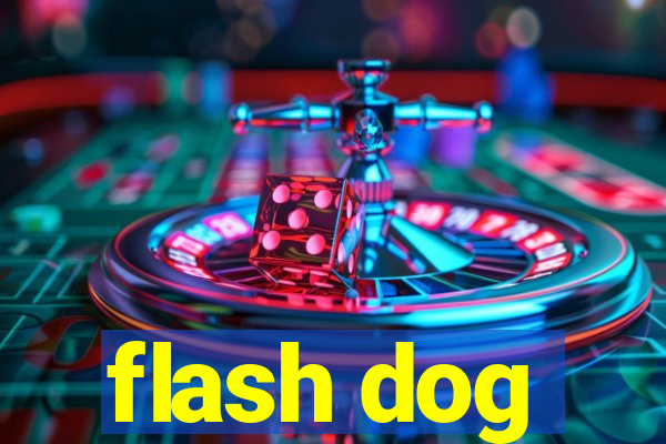 flash dog