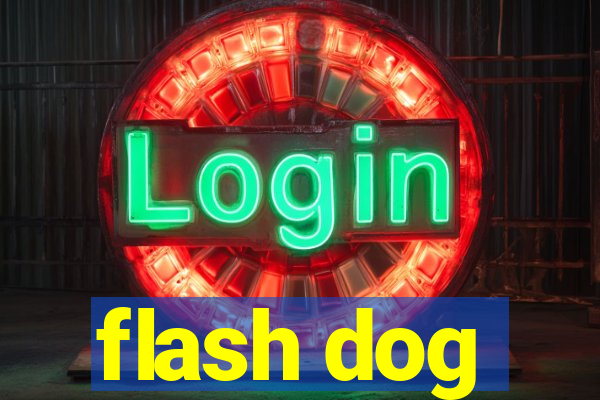 flash dog