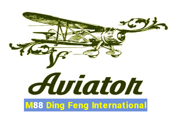 M88 Ding Feng International