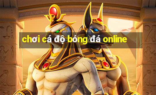 chơi cá độ bóng đá online