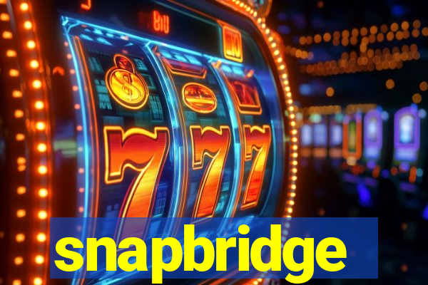 snapbridge