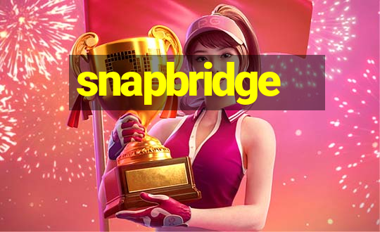 snapbridge