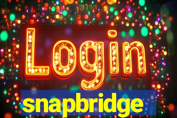 snapbridge