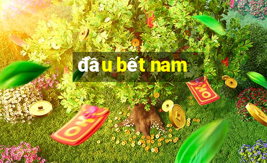 đầu bết nam