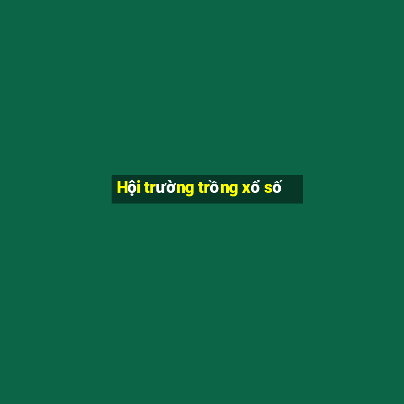 Hội trường trồng xổ số