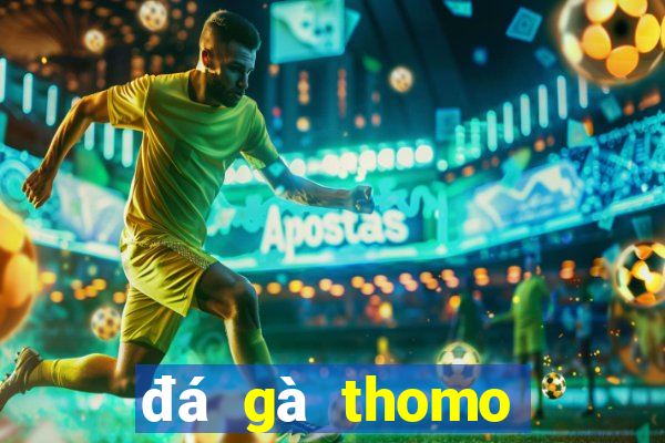 đá gà thomo ngày 21 tháng 10