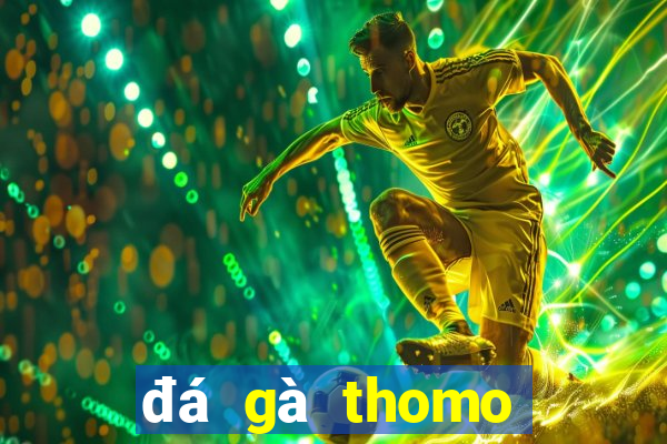 đá gà thomo ngày 21 tháng 10