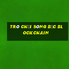 trò chơi sòng bạc blockchain