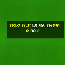 trực tiếp đá gà thomo 30 1