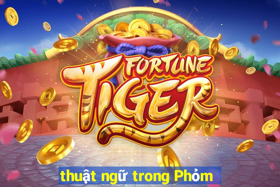 thuật ngữ trong Phỏm