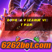 bóng đá v league việt nam