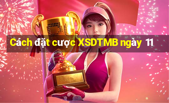 Cách đặt cược XSDTMB ngày 11