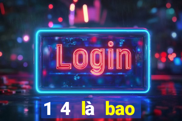 1 4 là bao nhiêu trái banh