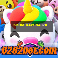 trum ban ca 2d