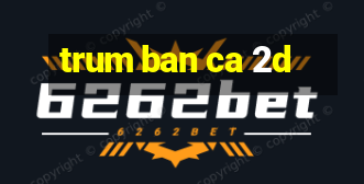 trum ban ca 2d