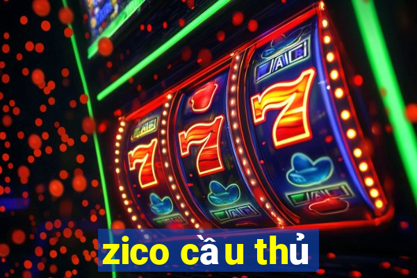 zico cầu thủ