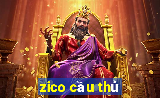 zico cầu thủ