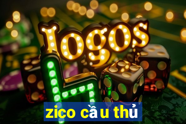 zico cầu thủ