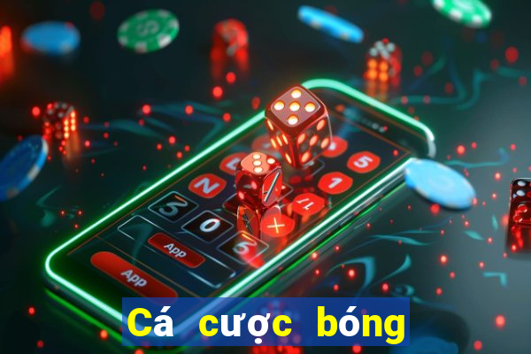 Cá cược bóng đá cấp độ đơn