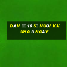 dàn đề 10 số nuôi khung 3 ngày